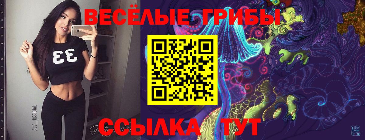 Псилоцибиновые грибы MAGIC MUSHROOMS  Вход с VPN  Ялуторовск 